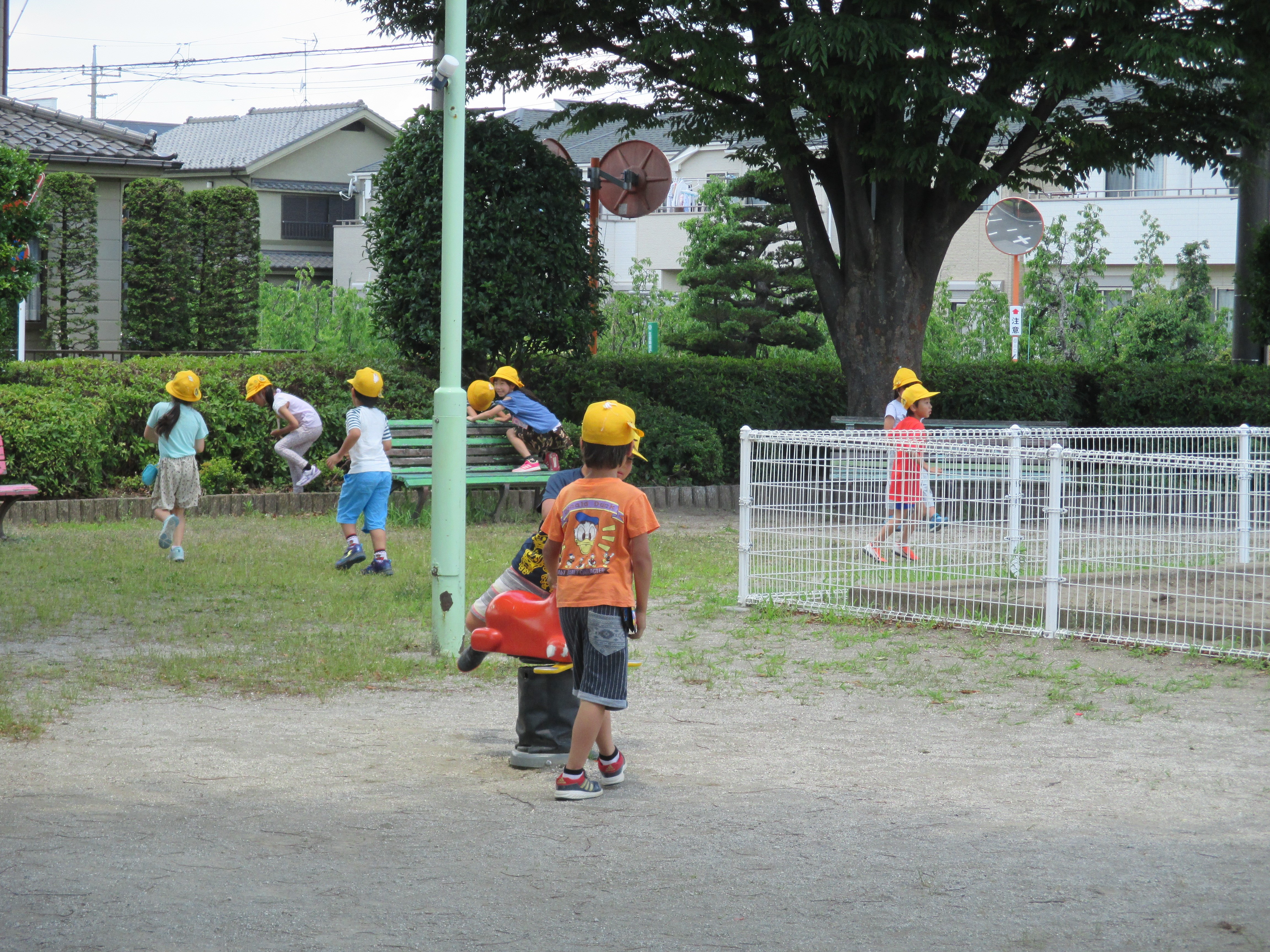 1年生 公園たんけん 川口市立安行東小学校